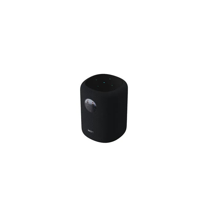 WiiM Sound Smart Speaker schwarz