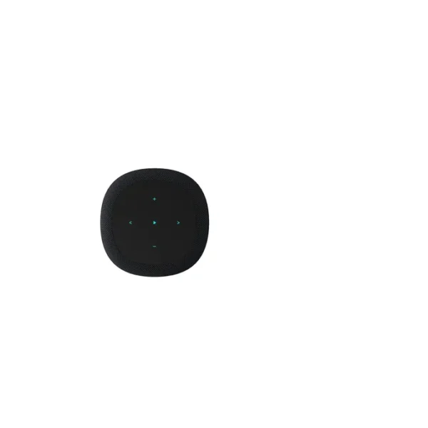 WiiM Sound Smart Speaker schwarz – Bild 5